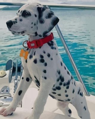 Dalmatian Puppy On Boat paint by numbers