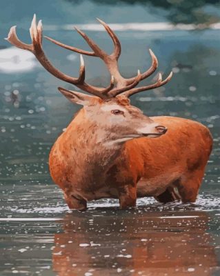 Deer Stag paint by numbers