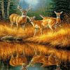 Deers in The Wild paint by numbers