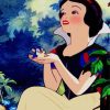 Disney Princess Snow White paint by numbers