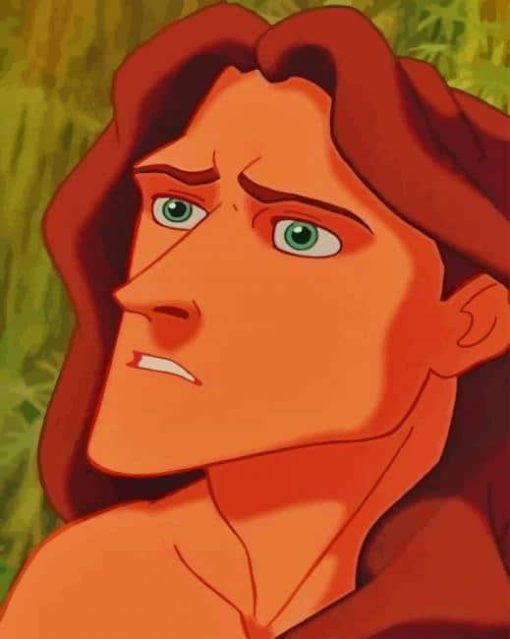 Disney Tarzan paint by numbers