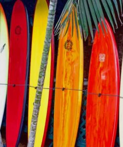 Multi Colored Surf Boards paint by numbers