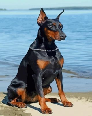 Black Doberman paint by numbers