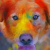 Dog's Painted Face paint by numbers