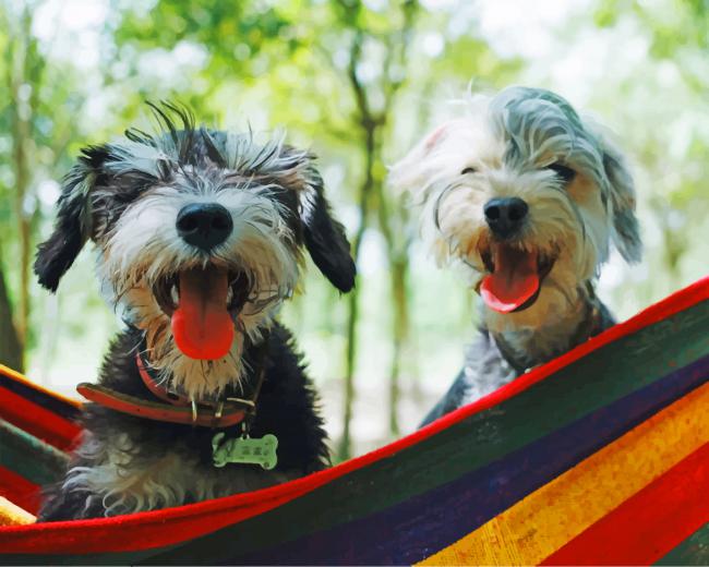 Dogs On A Hamak paint by numbers