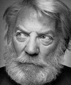 Donald Sutherland Beard paint by numbers