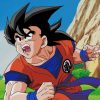 Dragon Ball Character Goku paint by numbers