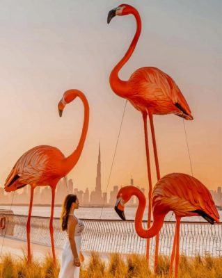 Dubai Flamingo paint by numbers