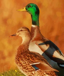 Duck Couple paint by numbers