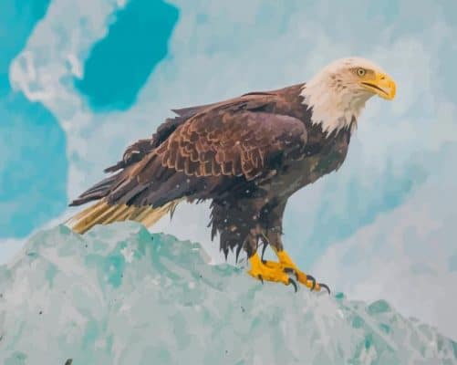 Eagle In Snow paint by number