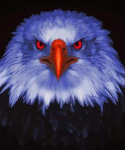 Eagle Raptor Eyes paint by number