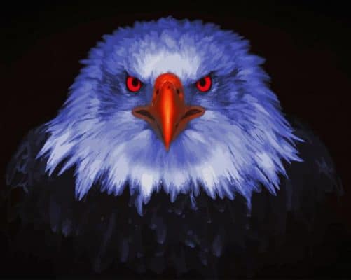 Eagle Raptor Eyes paint by number