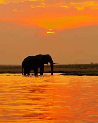 Elephant Silhouette In Sunset paint by numbers