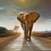 Elephant Walking On The Road paint by number