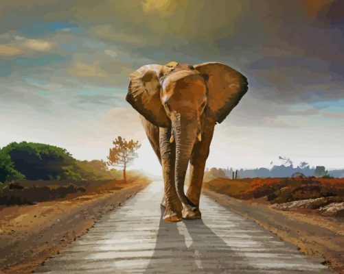 Elephant Walking On The Road paint by number