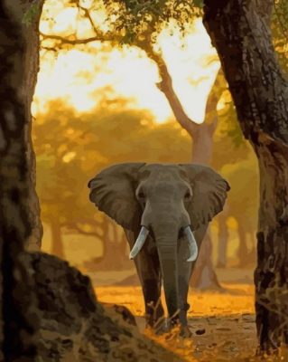 Elephant Walking paint by numbers