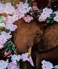 Elephant With Velvet Flowers paint by numbers