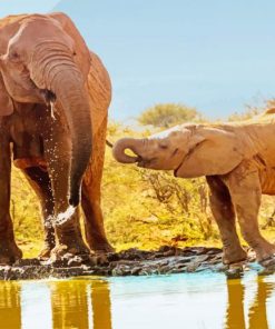 Baby Elephant With Mother paint by numbers