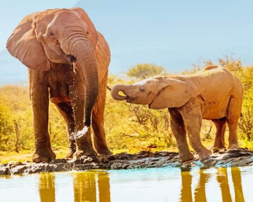 Baby Elephant With Mother paint by numbers