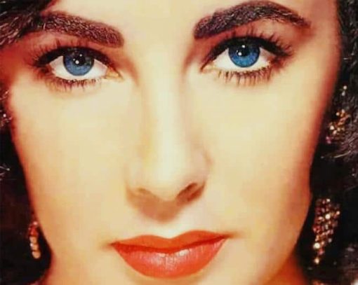 Elizabeth Taylor Paint By Numbers