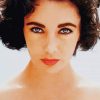 Elizabeth Taylor Purple Eyes Paint By Numbers