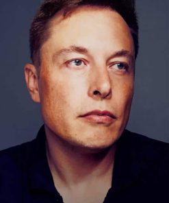 Elon Musk Paint By Numbers