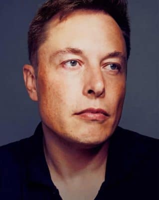 Elon Musk Paint By Numbers