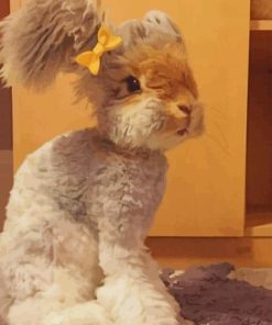 English Angora Rabbit paint by numbers