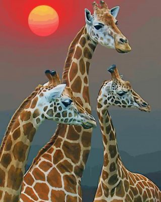 Family Giraffe Sunset paint by numbers