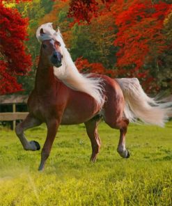 Horse Runing In Nature paint by numbers