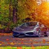 Ferrari F430 Autumn paint by number