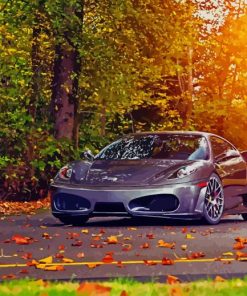 Ferrari F430 Autumn paint by number