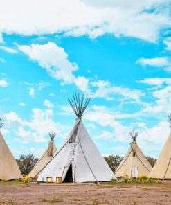 Five Tippi Tents During Day Time painting bu numbers