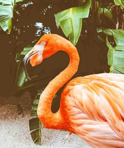 Flamingo Bird And Green Leaves paint by numbers