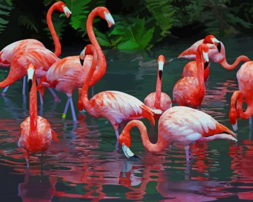 Flamingo Birds In The Water paint by numbers