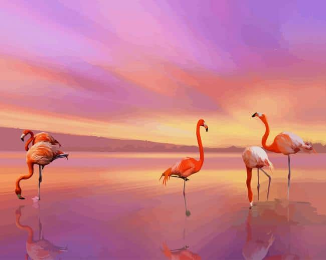 Flamingo Birds paint by number