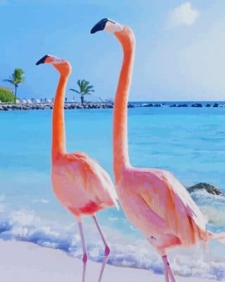 Flamingos In Aruba paint by numbers