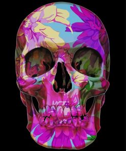 Floral Skull paint by numbers