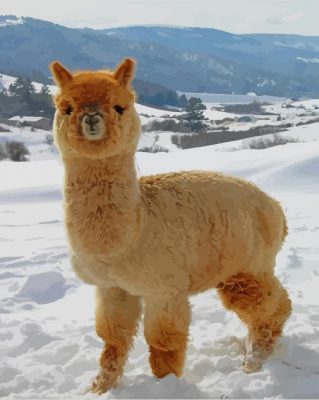 Fluffy Adorable Baby Alpaca paint by numbers