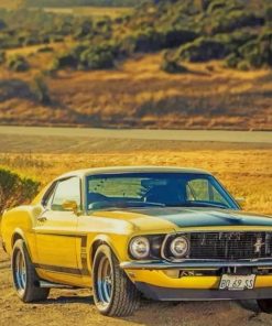 Ford Mustang Vintage Car paint by numbers