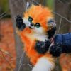 Fox Stuffed Animal paint by numbers