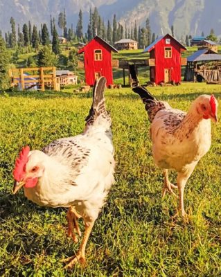 two chicken waliking in the farm painting by numbers