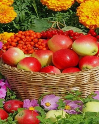 Fresh Fruits paint by number