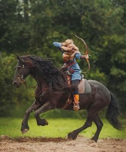 Friesian Horse paint by numbers