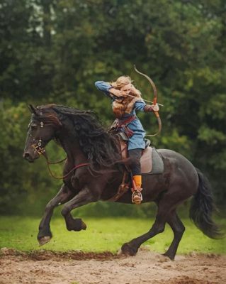 Friesian Horse paint by numbers