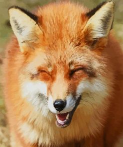 Funny Fox paint by numbers