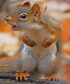 Funny Squirrel paint by numbers