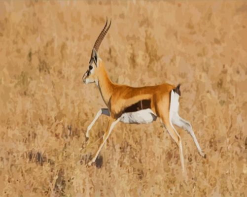 Gazelle Running paint by numbers