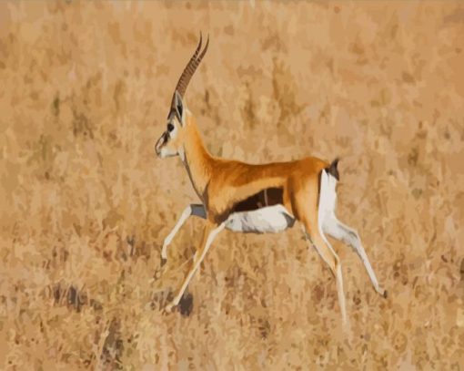 Gazelle Running paint by numbers