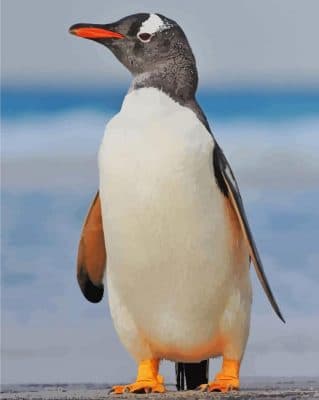 Gentoo Penguin paint by number